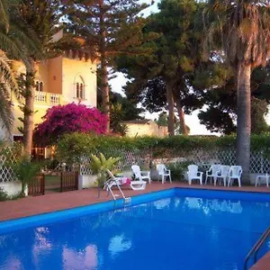 Amodeo ** Paceco